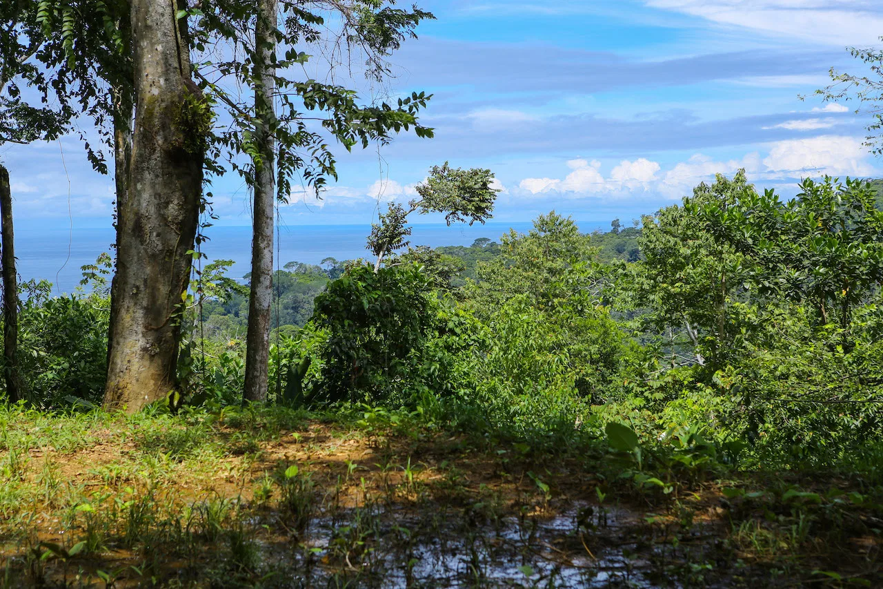OCEAN VIEW LOTS  WITH OCEAN, JUNGLE AND MOUNTAIN VIEWS IN UVITA, photo 13