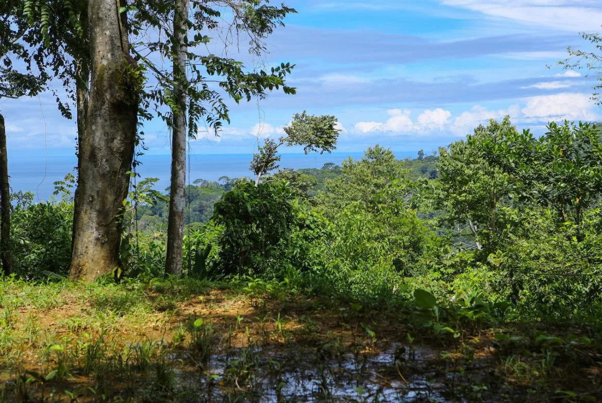 OCEAN VIEW LOTS  WITH OCEAN, JUNGLE AND MOUNTAIN VIEWS IN UVITA, photo 14