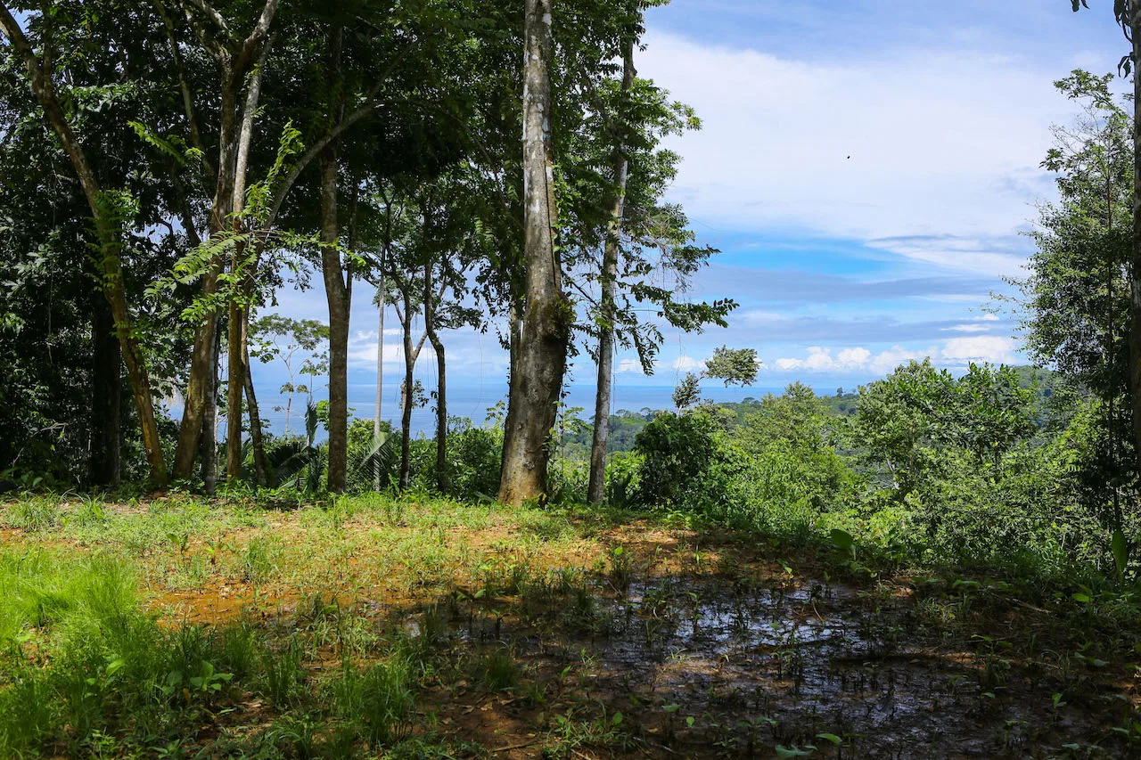 OCEAN VIEW LOTS  WITH OCEAN, JUNGLE AND MOUNTAIN VIEWS IN UVITA, photo 17