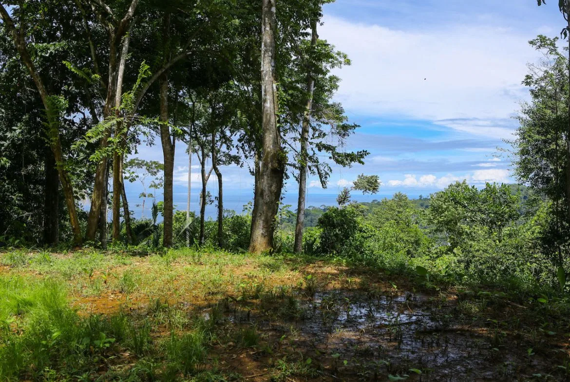 OCEAN VIEW LOTS  WITH OCEAN, JUNGLE AND MOUNTAIN VIEWS IN UVITA, photo 18