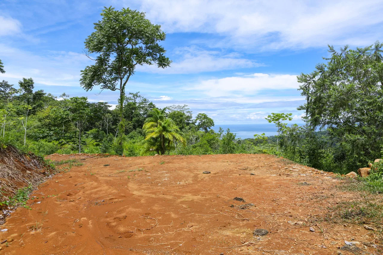 OCEAN VIEW LOTS  WITH OCEAN, JUNGLE AND MOUNTAIN VIEWS IN UVITA, photo 3
