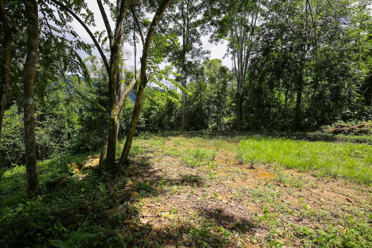 OCEAN VIEW LOTS  WITH OCEAN, JUNGLE AND MOUNTAIN VIEWS IN UVITA, photo 21