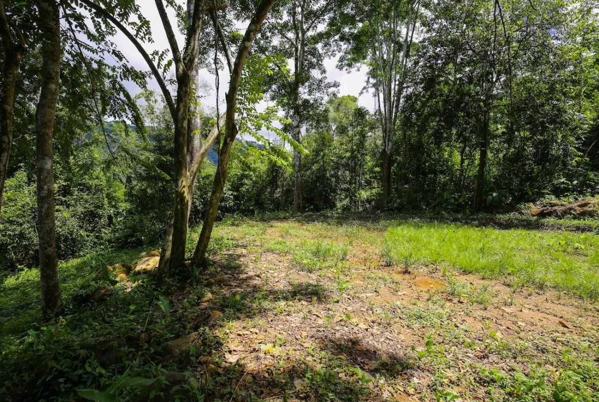 OCEAN VIEW LOTS  WITH OCEAN, JUNGLE AND MOUNTAIN VIEWS IN UVITA, photo 22