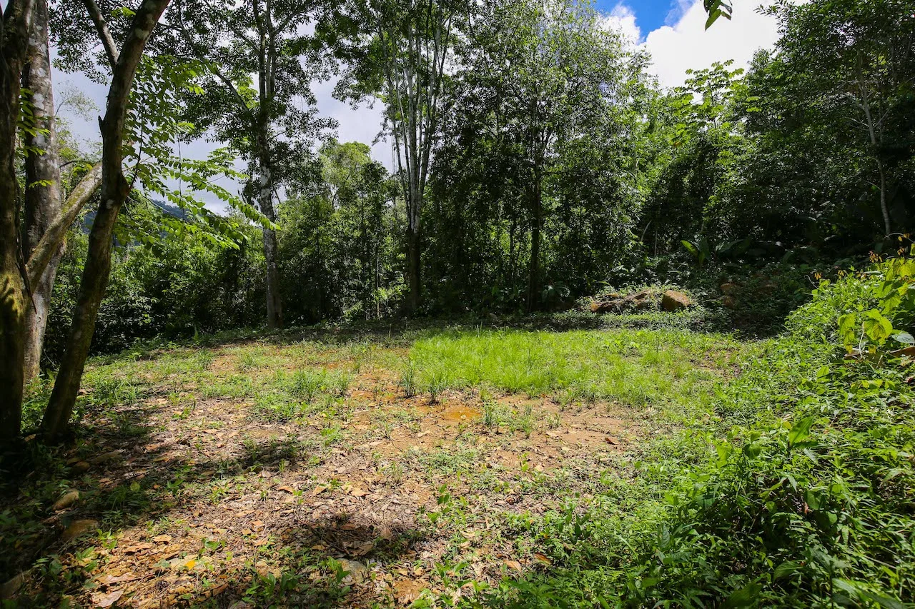 OCEAN VIEW LOTS  WITH OCEAN, JUNGLE AND MOUNTAIN VIEWS IN UVITA, photo 23