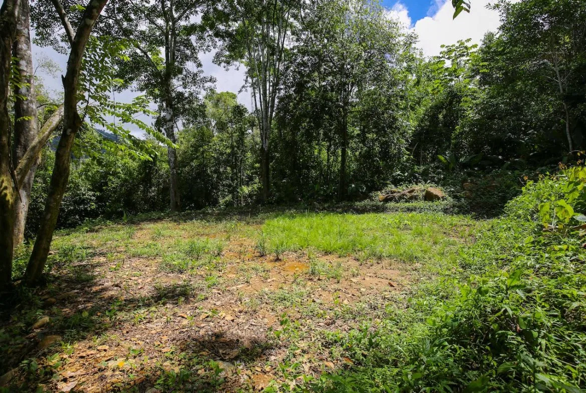 OCEAN VIEW LOTS  WITH OCEAN, JUNGLE AND MOUNTAIN VIEWS IN UVITA, photo 24