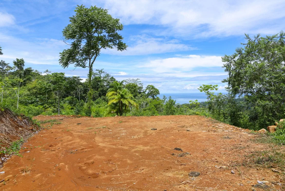 OCEAN VIEW LOTS  WITH OCEAN, JUNGLE AND MOUNTAIN VIEWS IN UVITA, photo 4