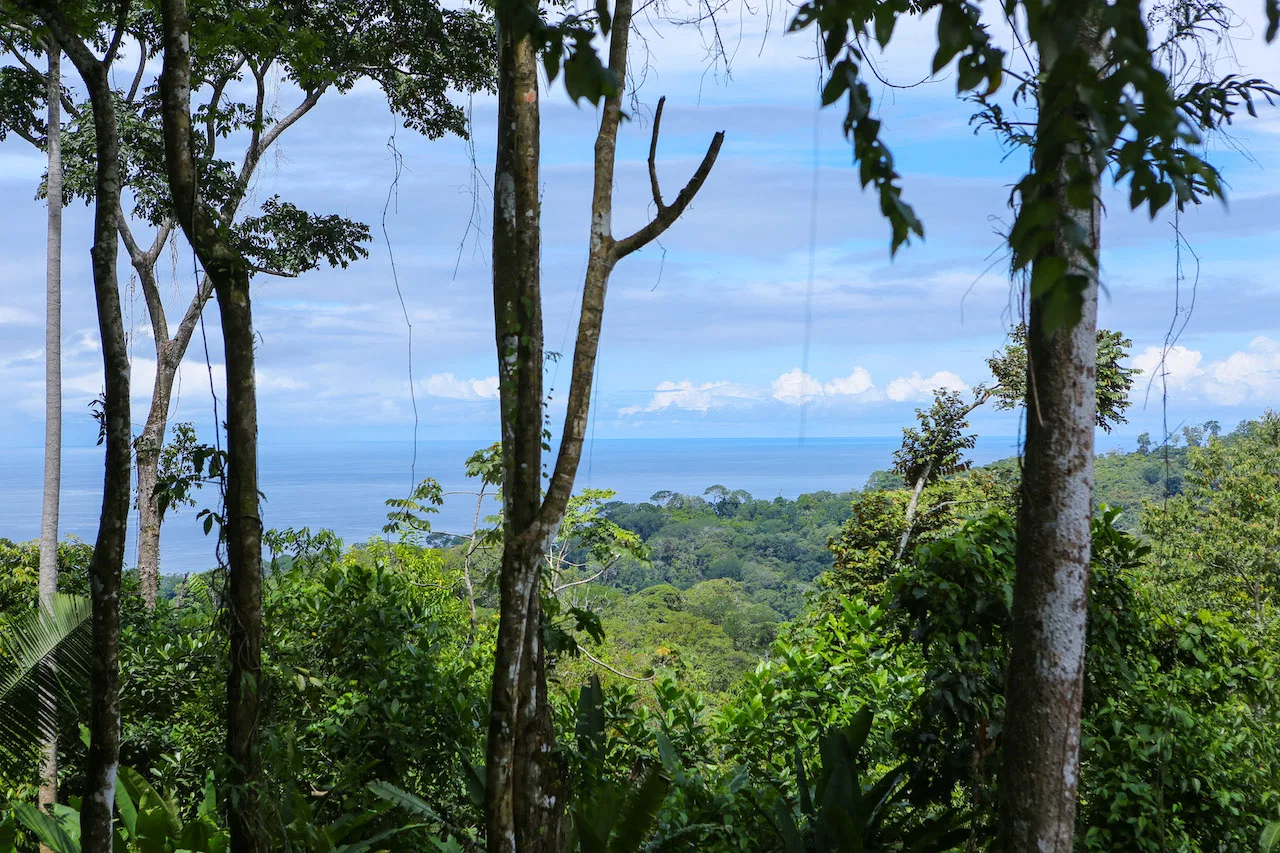 OCEAN VIEW LOTS  WITH OCEAN, JUNGLE AND MOUNTAIN VIEWS IN UVITA, photo 5