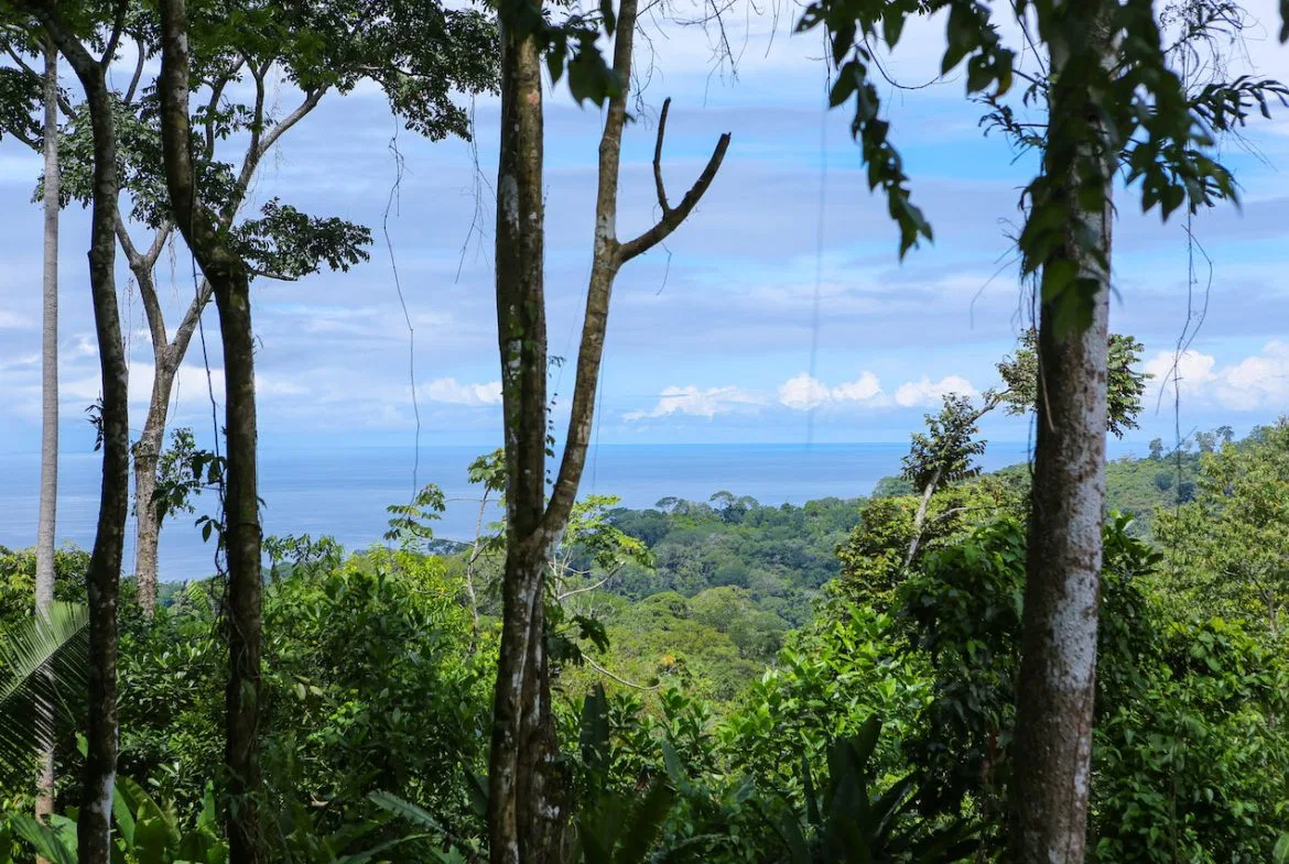 OCEAN VIEW LOTS  WITH OCEAN, JUNGLE AND MOUNTAIN VIEWS IN UVITA, photo 6