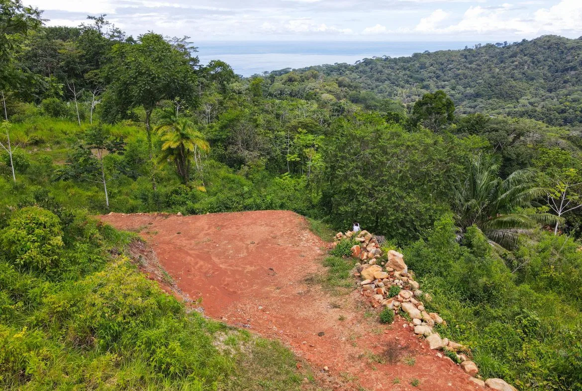 OCEAN VIEW LOTS  WITH OCEAN, JUNGLE AND MOUNTAIN VIEWS IN UVITA, photo 8