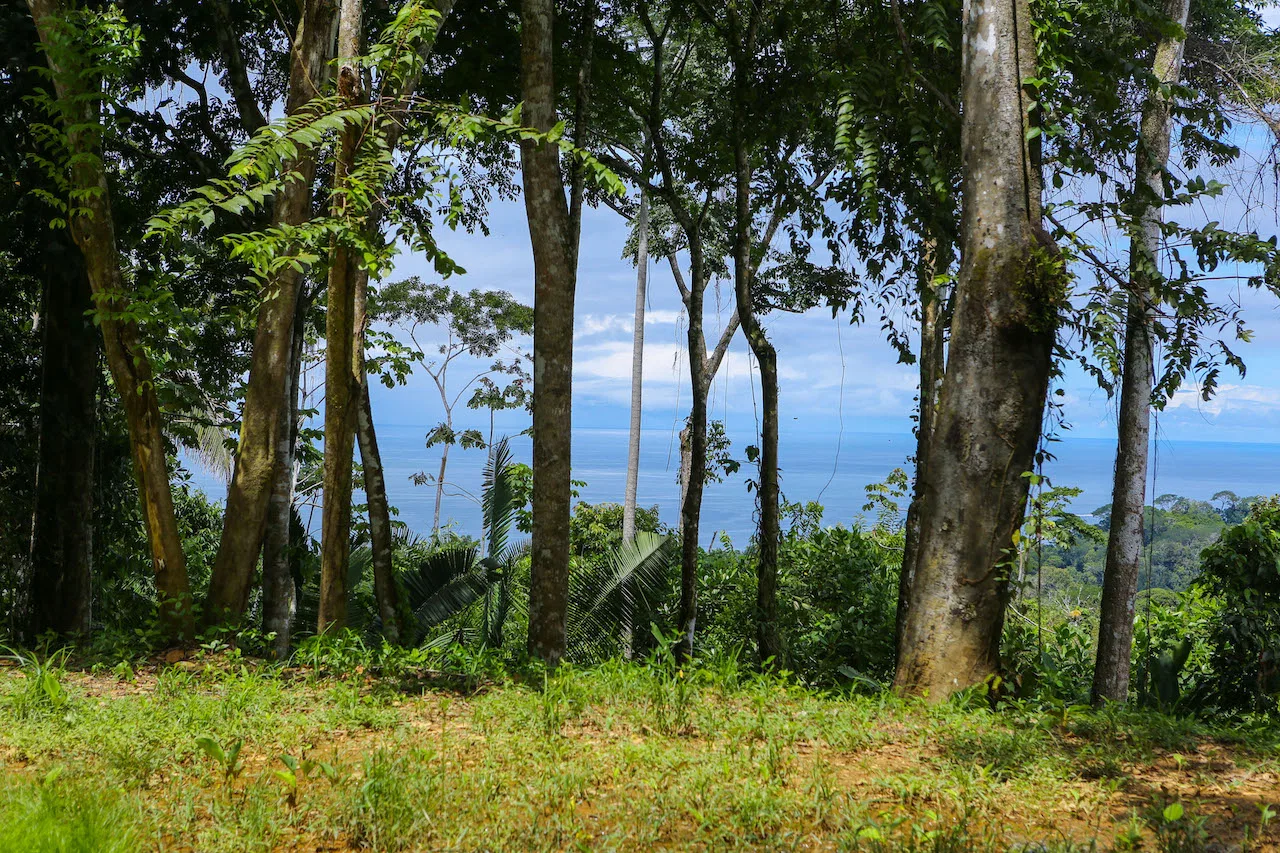 OCEAN VIEW LOTS  WITH OCEAN, JUNGLE AND MOUNTAIN VIEWS IN UVITA, photo 9