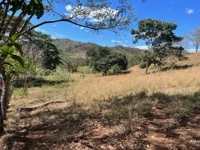 FARM FOR SALE - DEEP PASS, SANTA CRUZ, GUANACASTE