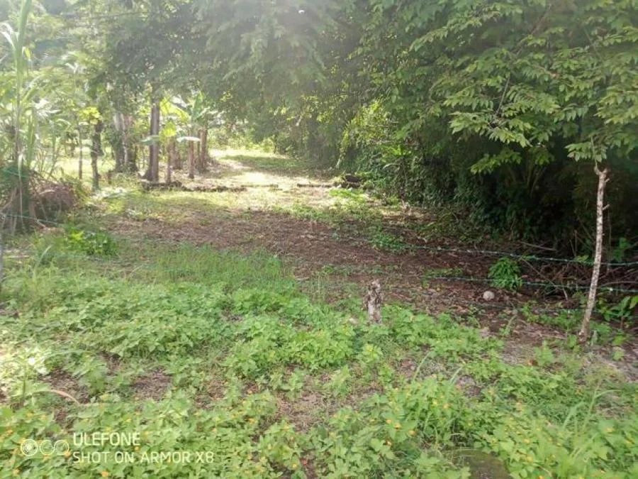 Venta de Lote en Quepos, Puntarenas.  - Venta en Quepos
