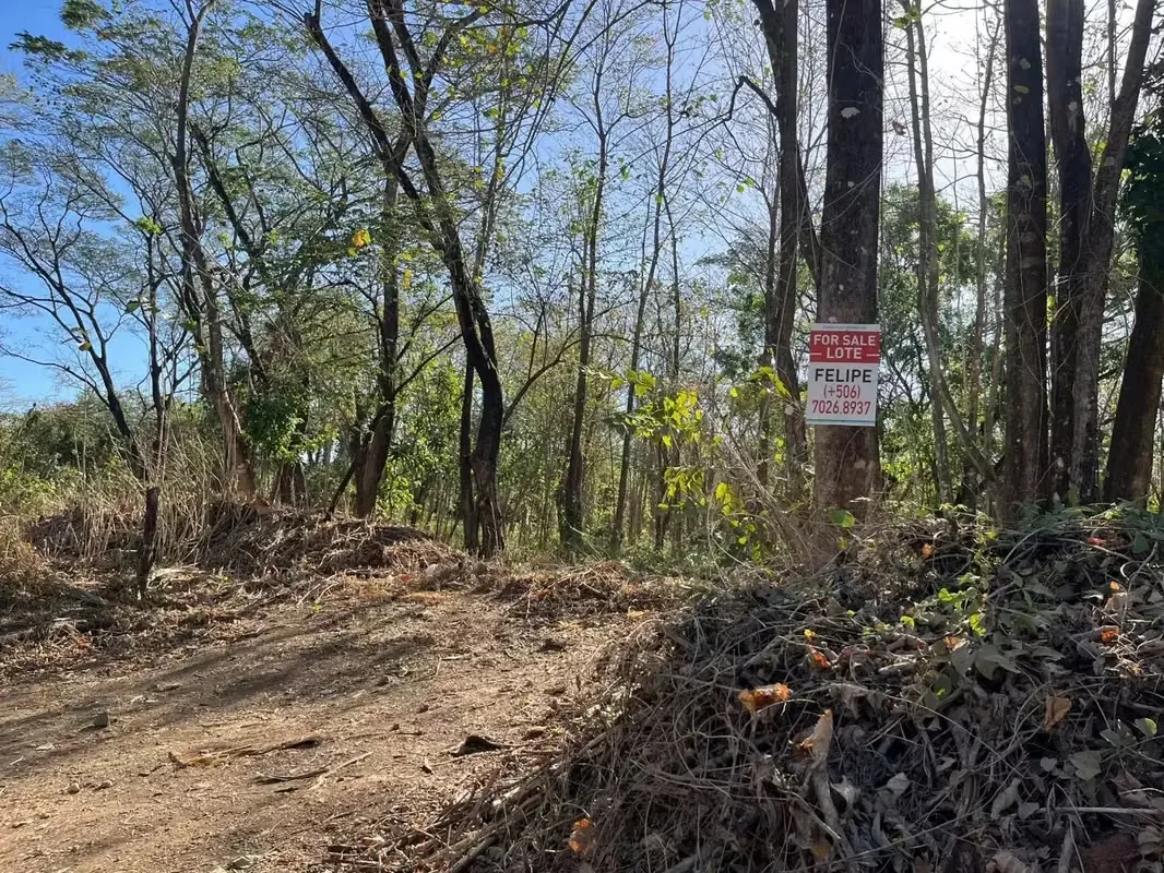 Excelente oportunidad de inversión en una zona de gran crecimiento y plusvalía en Guanacaste. Ubicado estratégicamente entre Santa Rosa y Villarreal, este terreno se encuentra a solo ...
