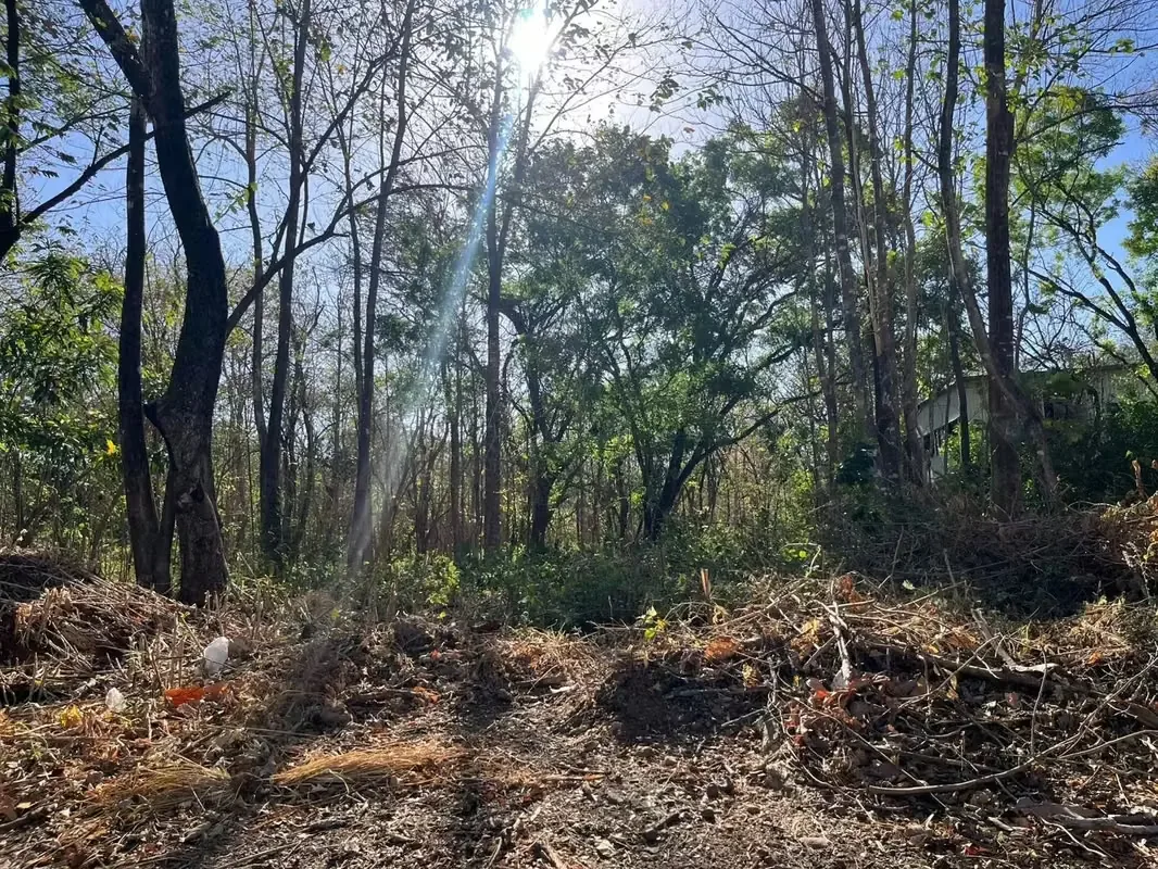 Excelente oportunidad de inversión en una zona de gran crecimiento y plusvalía en Guanacaste. Ubicado estratégicamente entre Santa Rosa y Villarreal, este terreno se encuentra a solo ..., photo 2