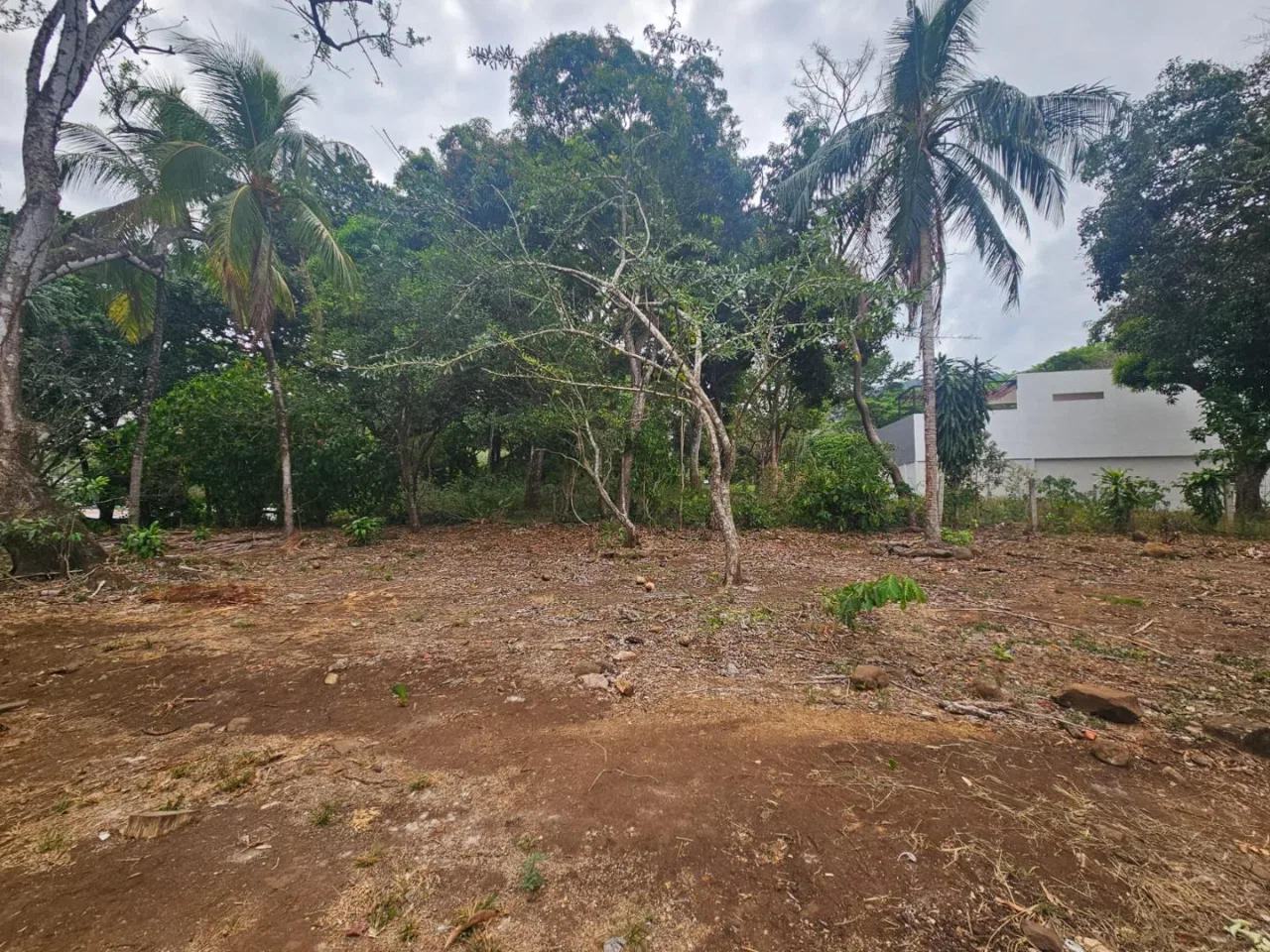 Lote en venta en el centro de San Pablo Turrubares, a 10 minutos de Ruta 27, con todos los servicios - Venta en Turrubares, photo 9