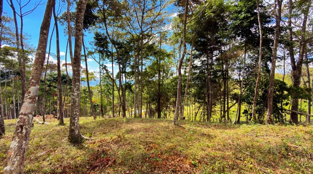 SE VENDE HERMOSO LOTE RESIDENCIAL EN LA MONTAÑA CON VISTAS ESPECTACULARES EN QUEBRADAS - Venta en Pérez Zeledón, photo 3