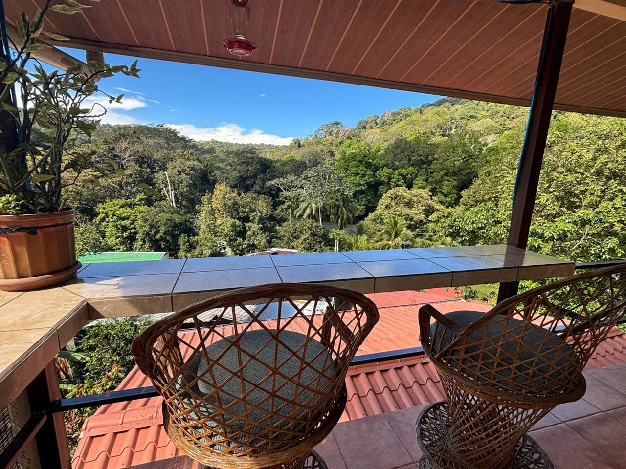 PROPERTY WITH SEVEN BEDROOMS AND RIVER VIEWS NEAR TO THE DOMINICAL BEACH, IN BARU – 0.16 ACRES, photo 20