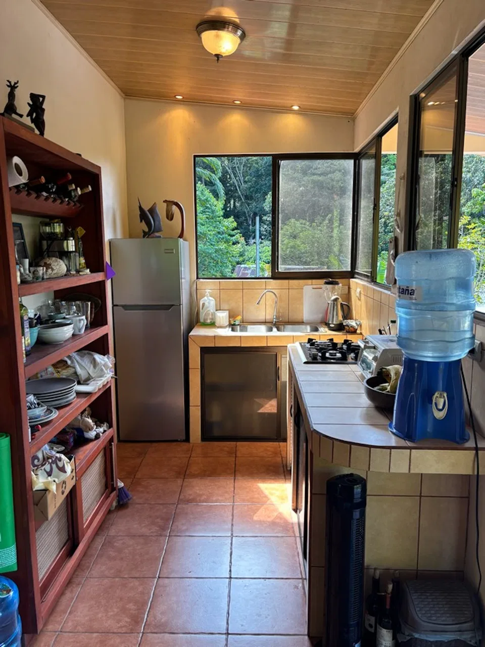 PROPERTY WITH SEVEN BEDROOMS AND RIVER VIEWS NEAR TO THE DOMINICAL BEACH, IN BARU – 0.16 ACRES, photo 24