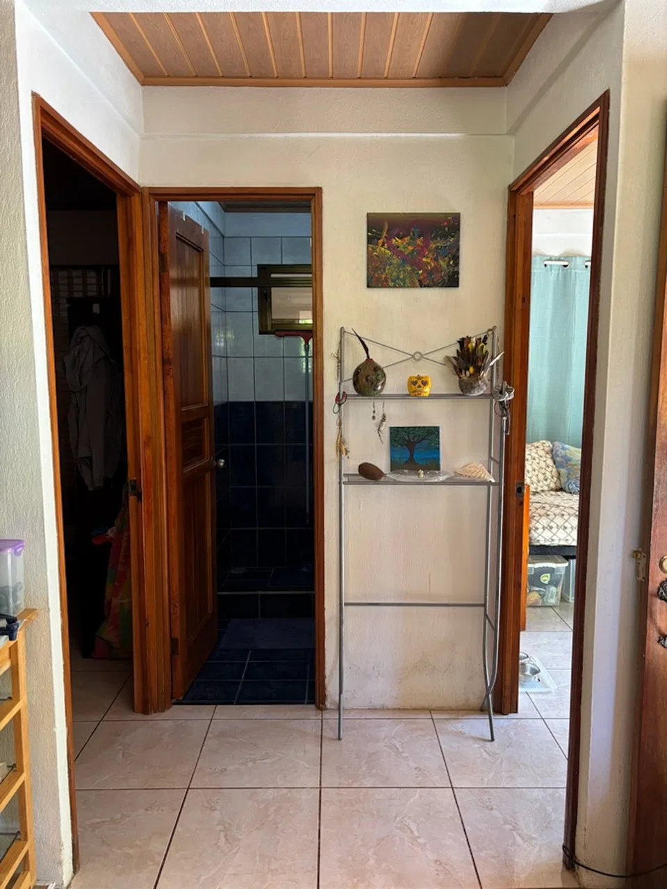 PROPERTY WITH SEVEN BEDROOMS AND RIVER VIEWS NEAR TO THE DOMINICAL BEACH, IN BARU – 0.16 ACRES, photo 9