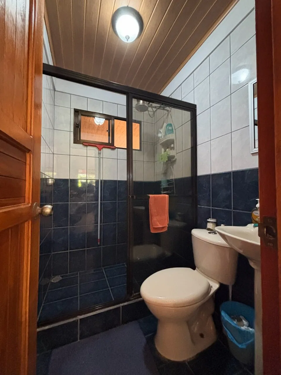 PROPERTY WITH SEVEN BEDROOMS AND RIVER VIEWS NEAR TO THE DOMINICAL BEACH, IN BARU – 0.16 ACRES, photo 10