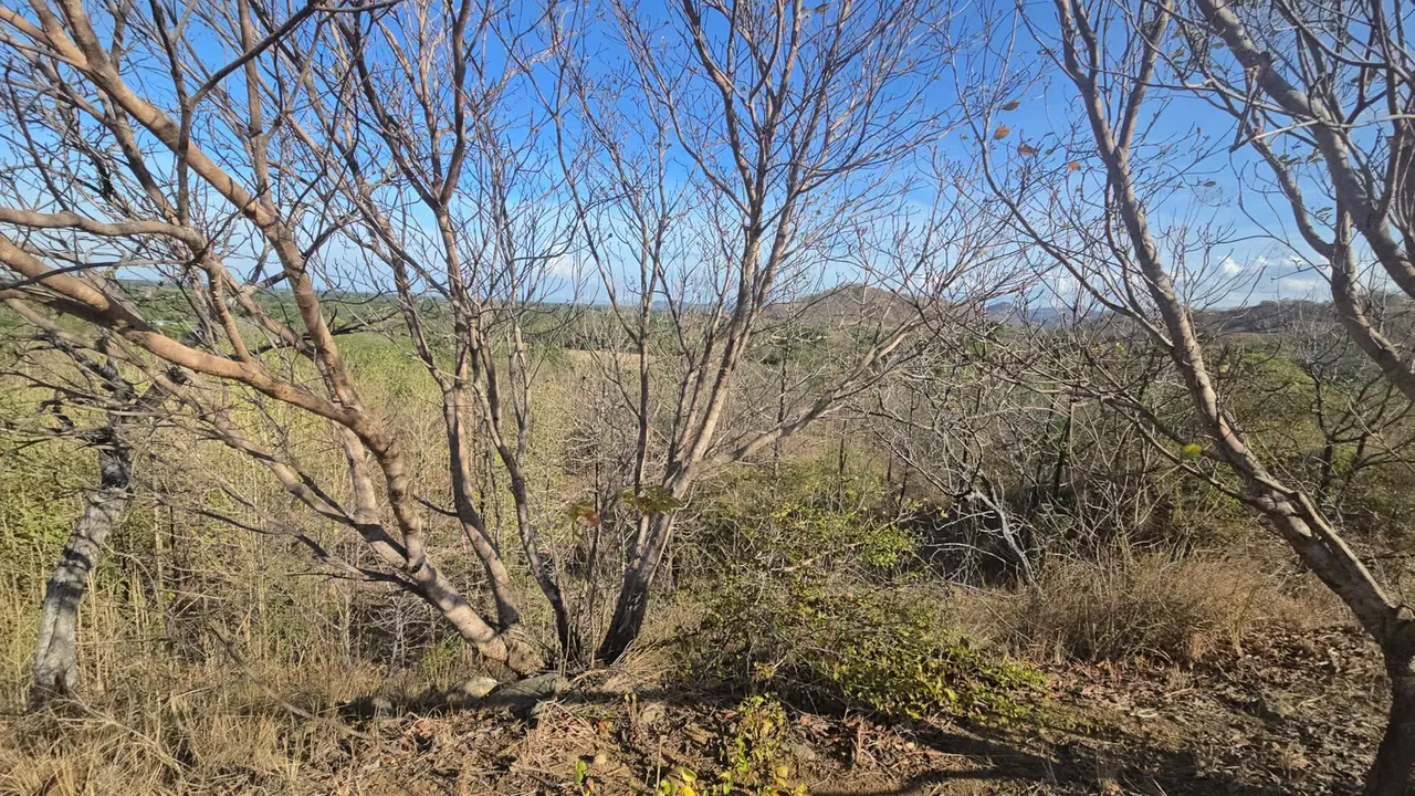 Terreno en Venta en Sardinal, Guanacaste – Excelente Oportunidad de Inversión