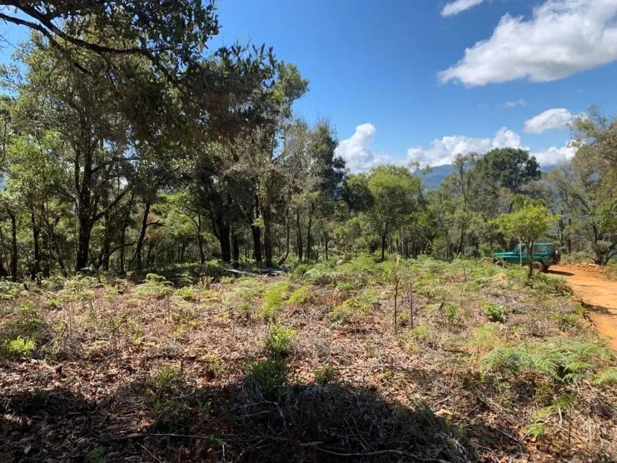 venta de lote en san jose leon  - Venta en León Cortes, photo 3