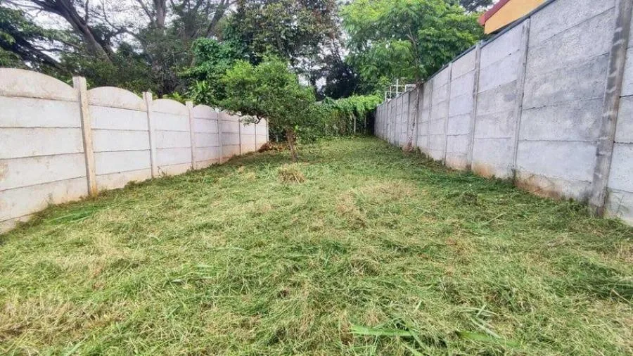 venta de lote en san jose leon  - Venta en León Cortes, photo 6