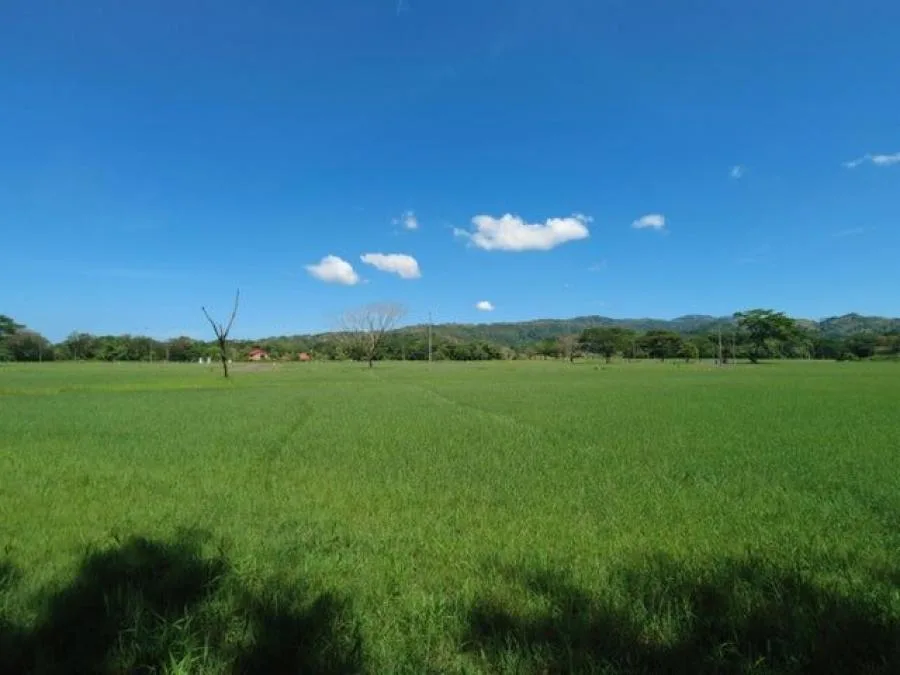 venta de lote en san jose leon  - Venta en León Cortes, photo 7