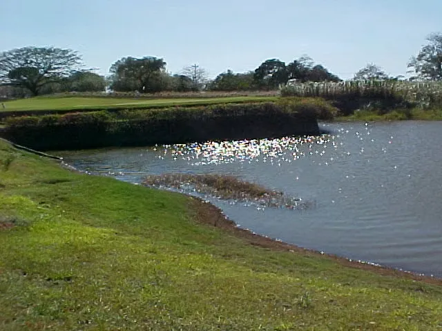 Located within the prestigious Hacienda Pinilla community in Guanacaste, this residential lot offers an exceptional opportunity to become part of one of Costa Rica’s most exclusive ...