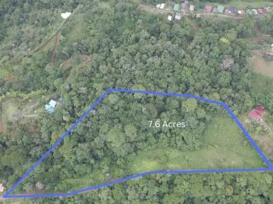 7.6 Acres Calle Camarón Platanillo