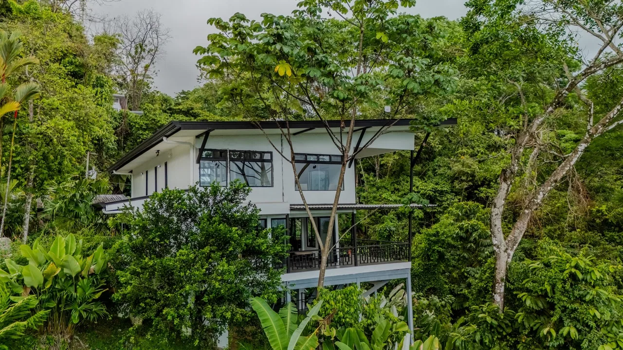 CASA LA ROCA JUNGLE PROPERTY WITH THREE BEDROOMS, IN UVITA  – 4.06 ACRES, photo 5
