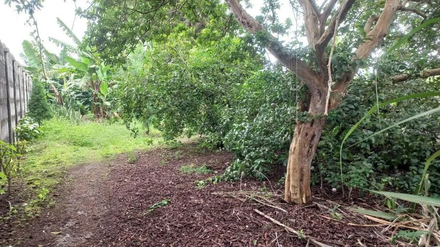 Venta de Lote en Goicoechea, San José. RAH 25-1767 - Venta en Goicoechea, photo 14
