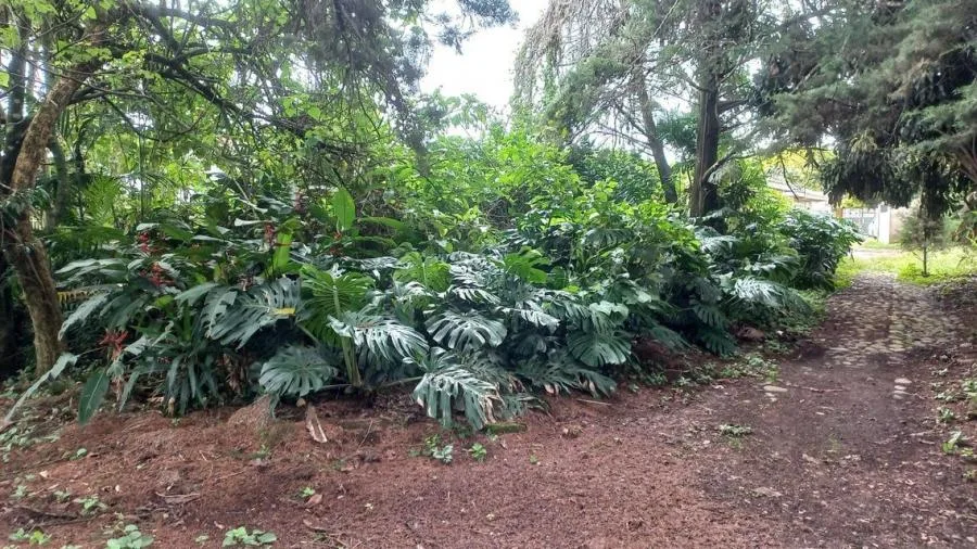 Venta de Lote en Goicoechea, San José. RAH 25-1767 - Venta en Goicoechea, photo 10