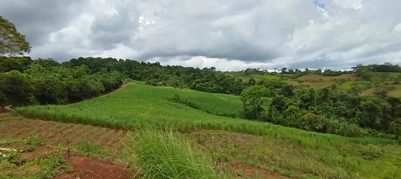 For Sale: 2.5-Hectare Farm with Spectacular Views of the Lush Green Mountains of Pérez Zeledón, Costa Rica, photo 12