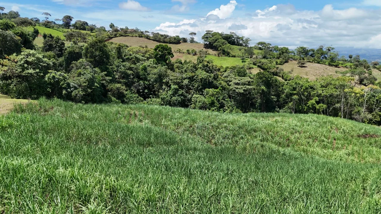 For Sale: 2.5-Hectare Farm with Spectacular Views of the Lush Green Mountains of Pérez Zeledón, Costa Rica, photo 13