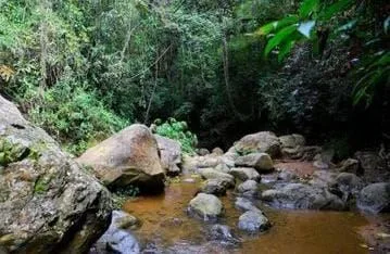 For Sale: 2.5-Hectare Farm with Spectacular Views of the Lush Green Mountains of Pérez Zeledón, Costa Rica, photo 14
