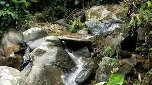 For Sale: 2.5-Hectare Farm with Spectacular Views of the Lush Green Mountains of Pérez Zeledón, Costa Rica, photo 15
