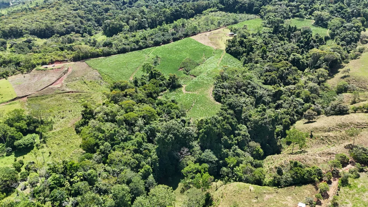 For Sale: 2.5-Hectare Farm with Spectacular Views of the Lush Green Mountains of Pérez Zeledón, Costa Rica, photo 8