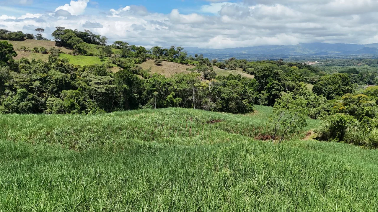 For Sale: 2.5-Hectare Farm with Spectacular Views of the Lush Green Mountains of Pérez Zeledón, Costa Rica, photo 9