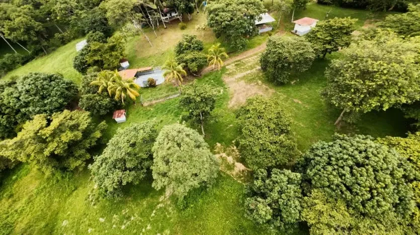 Wonderful Farm for Sale, photo 4