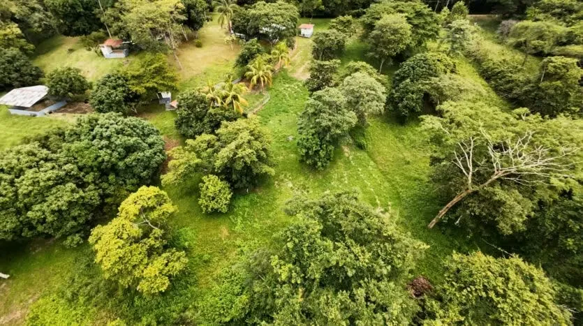 Wonderful Farm for Sale, photo 5