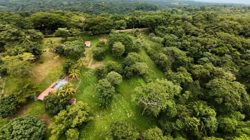 Wonderful Farm for Sale, photo 6