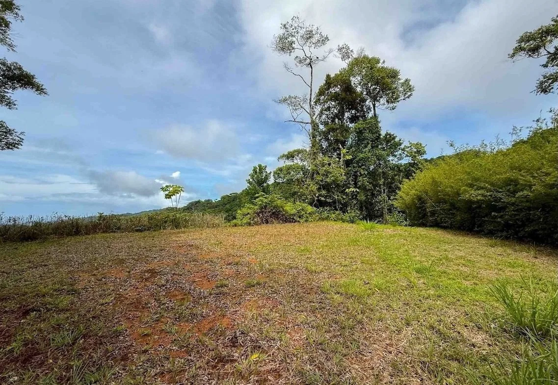JUNGLE PROPERTY WITH MOUNTAIN VIEWS, IN DOMINICALITO – 1.2 ACRES, photo 2