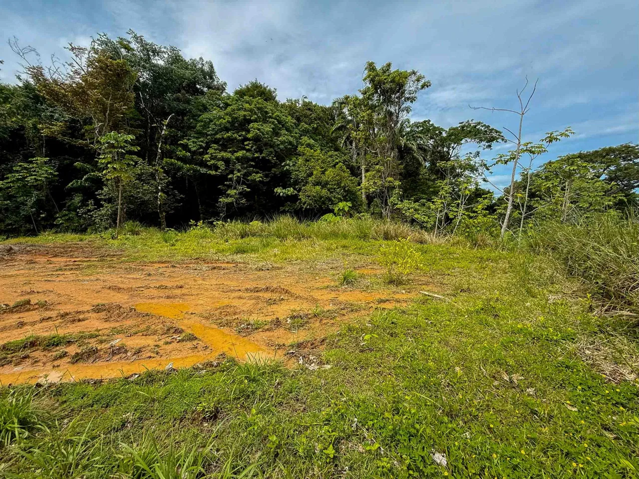 JUNGLE PROPERTY WITH MOUNTAIN VIEWS, IN DOMINICALITO – 1.2 ACRES, photo 11