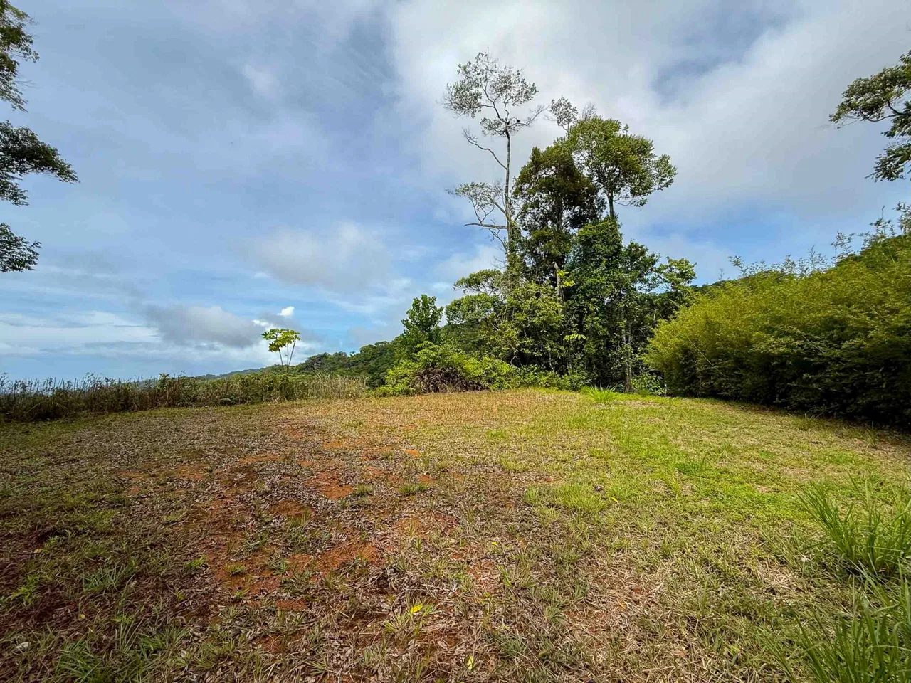 JUNGLE PROPERTY WITH MOUNTAIN VIEWS, IN DOMINICALITO – 1.2 ACRES, photo 13