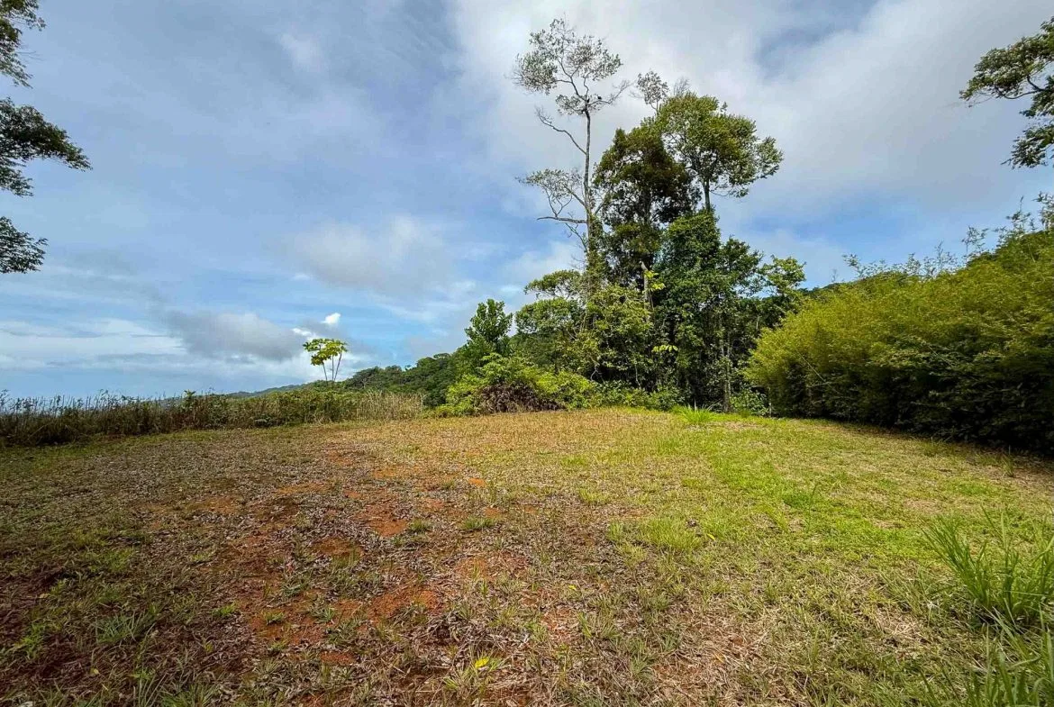 JUNGLE PROPERTY WITH MOUNTAIN VIEWS, IN DOMINICALITO – 1.2 ACRES, photo 14