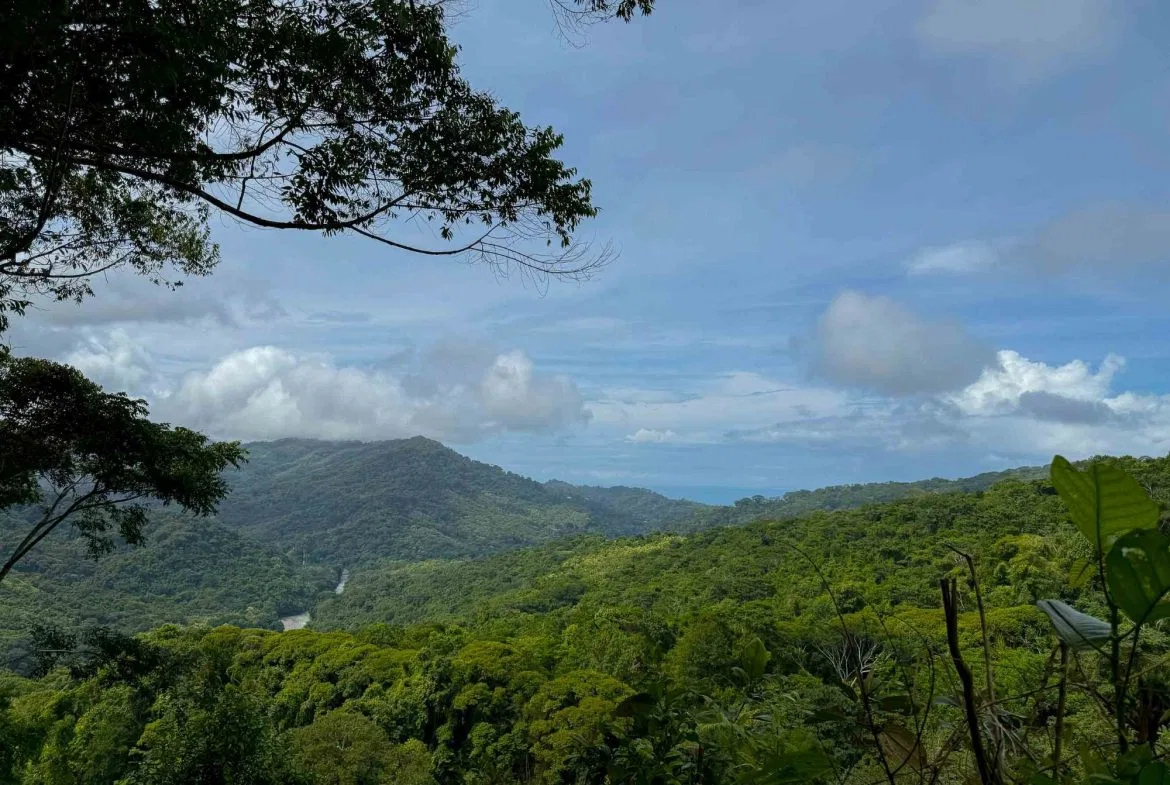 JUNGLE PROPERTY WITH MOUNTAIN VIEWS, IN DOMINICALITO – 1.2 ACRES, photo 20