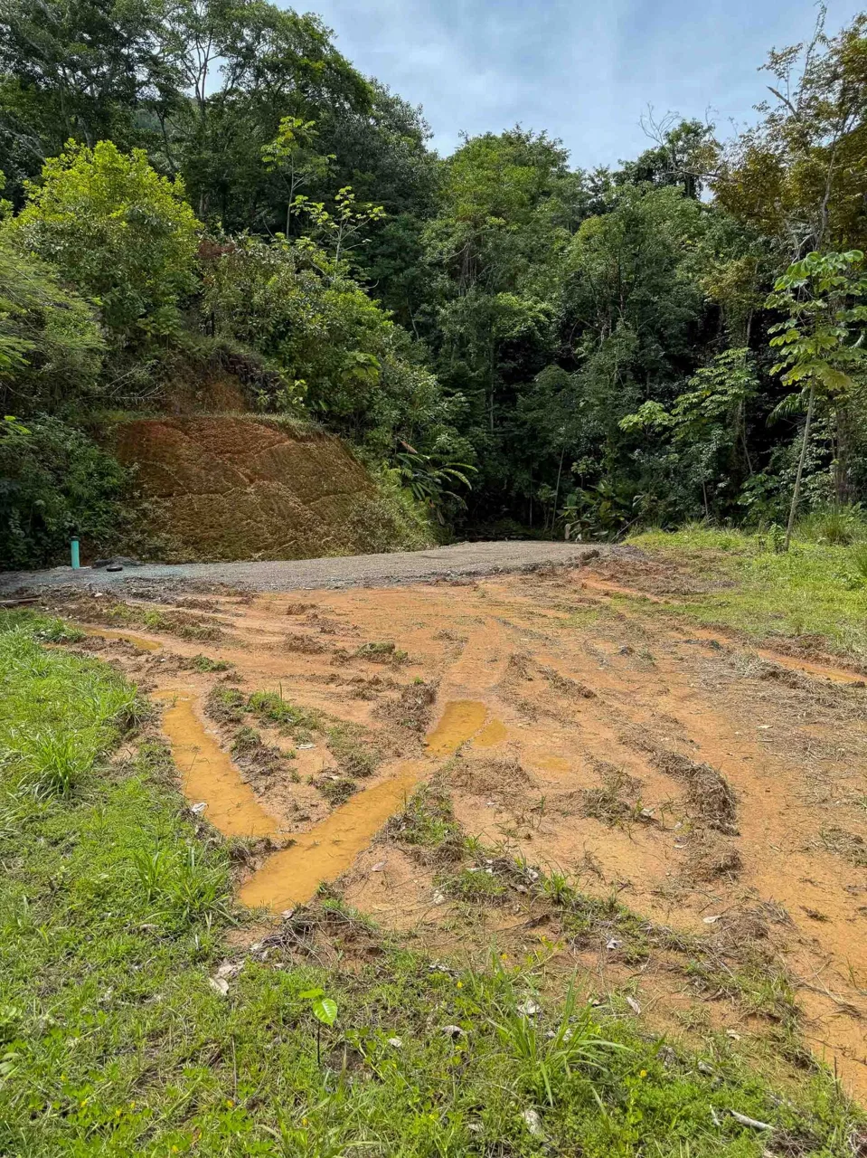 JUNGLE PROPERTY WITH MOUNTAIN VIEWS, IN DOMINICALITO – 1.2 ACRES, photo 3
