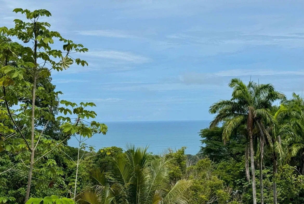 JUNGLE PROPERTY WITH MOUNTAIN VIEWS, IN DOMINICALITO – 1.2 ACRES, photo 22