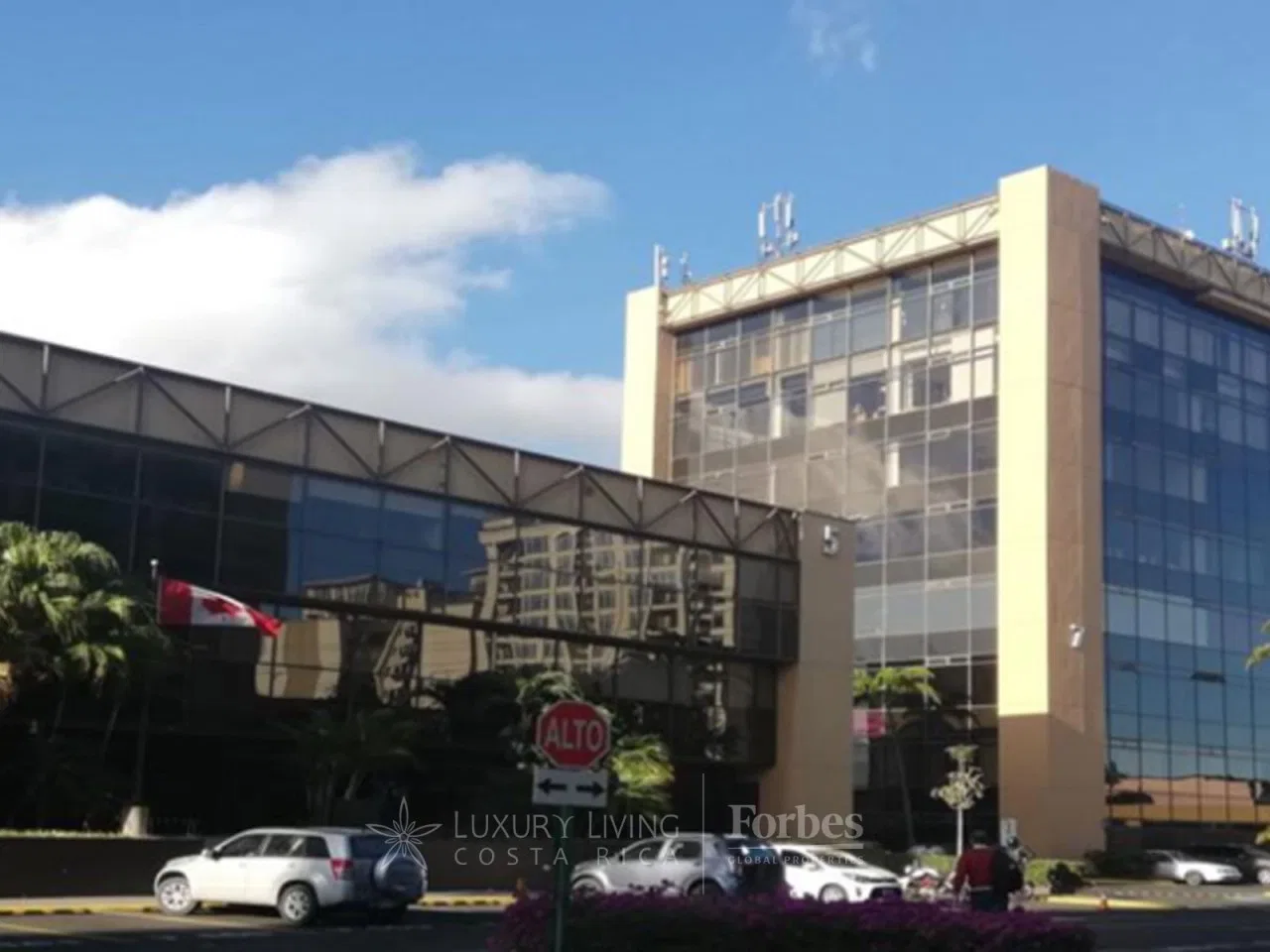 Offices for lease in Sabana Sur